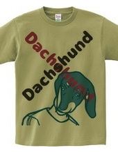 Dachshund