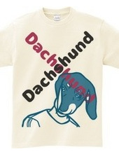 Dachshund