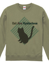 Cat Are Mysterious