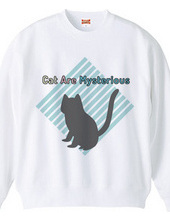 Cat Are Mysterious
