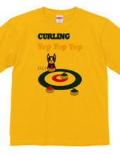 Curling and The Boston Terrier