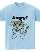 The Angry Cat