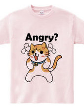 The Angry Cat