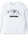 Triterratops