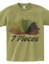 7 Pieces