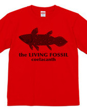 Living Fossils_Cyracance