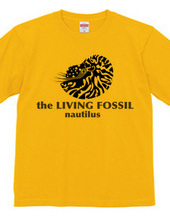 Living Fossils_Nautiguy