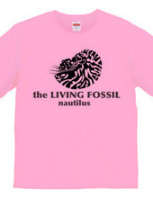 Living Fossils_Nautiguy