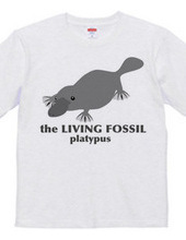 Living Fossils_Platypus
