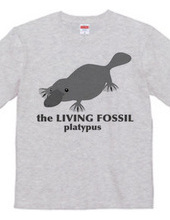 Living Fossils_Platypus