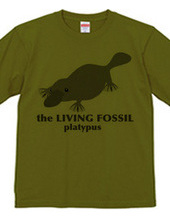 Living Fossils_Platypus