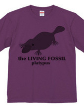 Living Fossils_Platypus