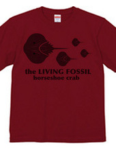 Living Fossils_Horseshoe Crab