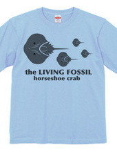 Living Fossils_Horseshoe Crab