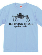 Living Fossils_Takaashigani