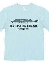 Living Fossils_Sturgeon