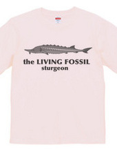 Living Fossils_Sturgeon