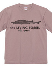 Living Fossils_Sturgeon