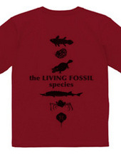 Living Fossils