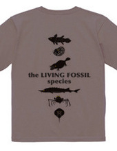 Living Fossils