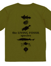 Living Fossils