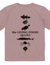 Living Fossils