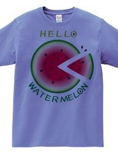 CT36 ! Sliced watermelon pattern