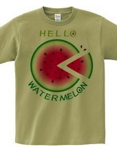 CT36 ! Sliced watermelon pattern