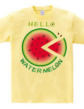 CT36 ! Sliced watermelon pattern