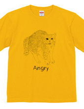 Angry Cat