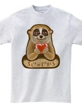 Slow Loris