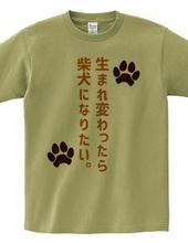 生まれ変わったら柴犬になりたい。