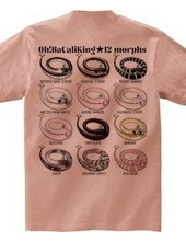 Oh!BaCaliKing 12 morphs (Back Print)