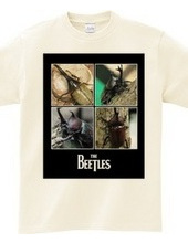 Beetles