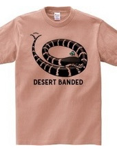 DESERT BANDED+12 morphs of California Kingsnake(Double-sided