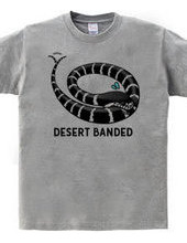 DESERT BANDED+12 morphs of California Kingsnake(Double-sided