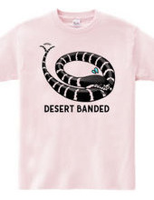 DESERT BANDED+12 morphs of California Kingsnake(Double-sided