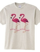 CT103 22* Flamingo Message