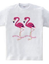 CT103 22* Flamingo Message