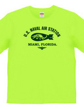 US NAVAL AIR STATION MIAMI