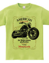 American Motorcycle Custom
