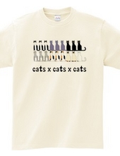 cats×cats×cats