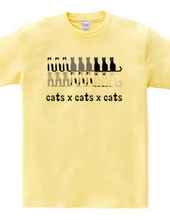 cats×cats×cats