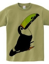 Toucan