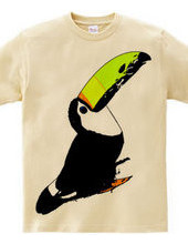 Toucan