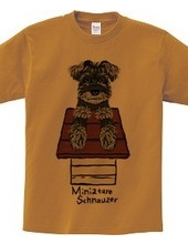 Schnauzer