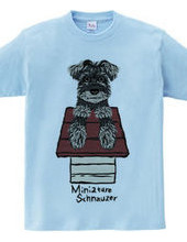 Schnauzer