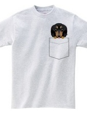 PocketDog Dachshund