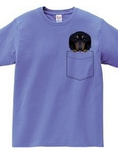 PocketDog Dachshund