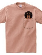 PocketDog Dachshund